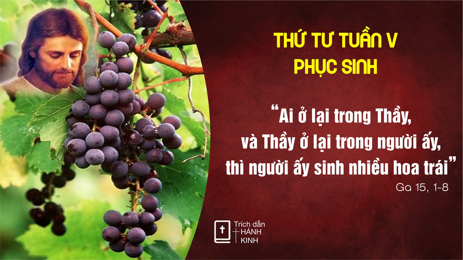 Thứ 4 Tuần V Phục Sinh-C