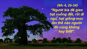 Thứ 6 Tuần III TN-B