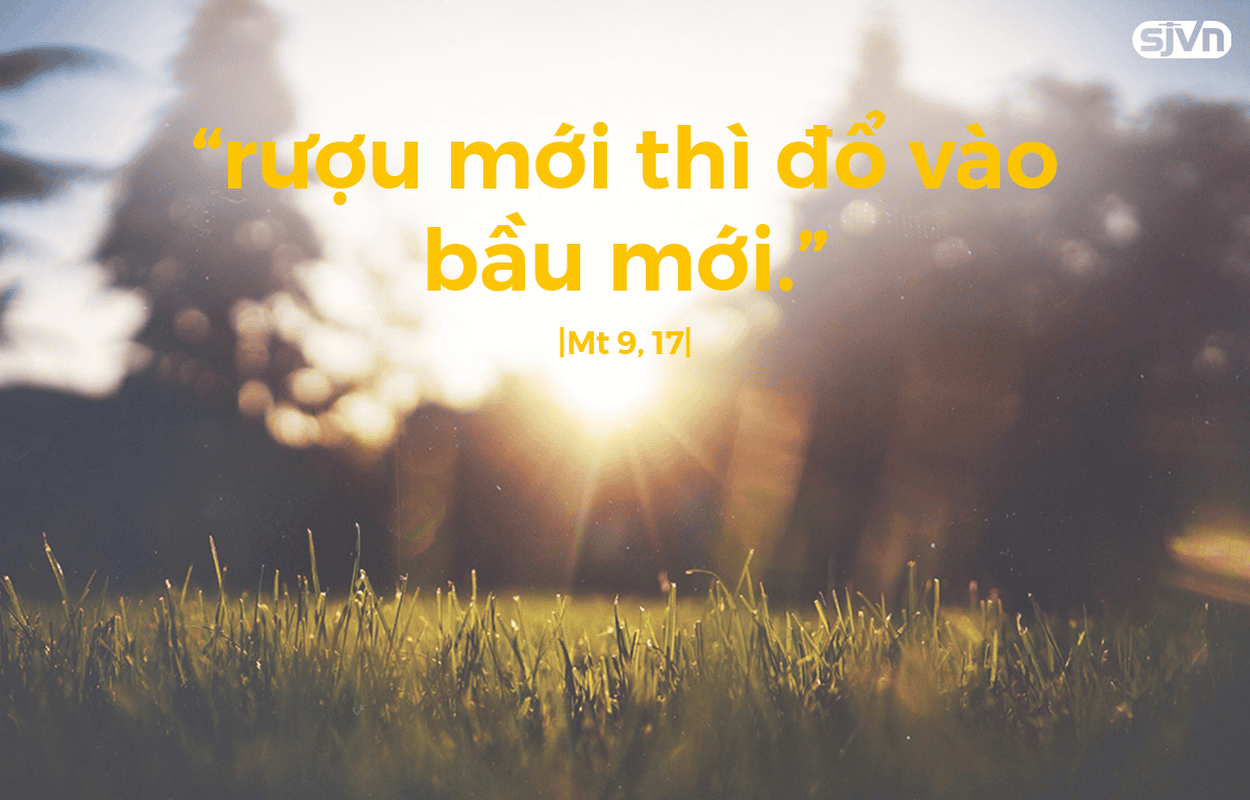 Thứ 7 Tuần XIII Thường Niên-C