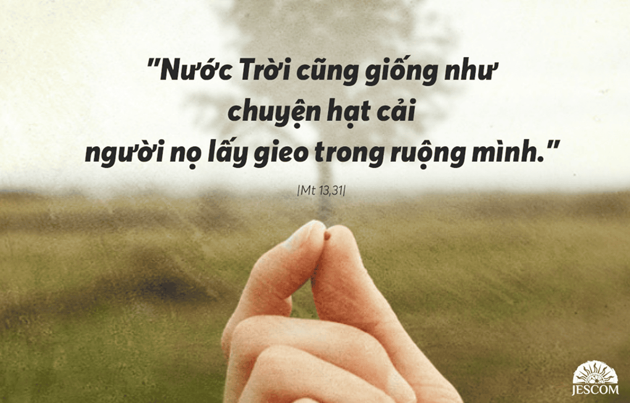 Thứ 2 Tuần XVII Thường Niên-A