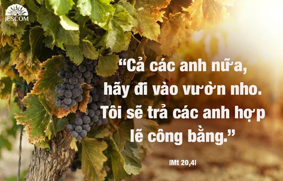 Thứ 4 Tuần XX Thường Niên-A