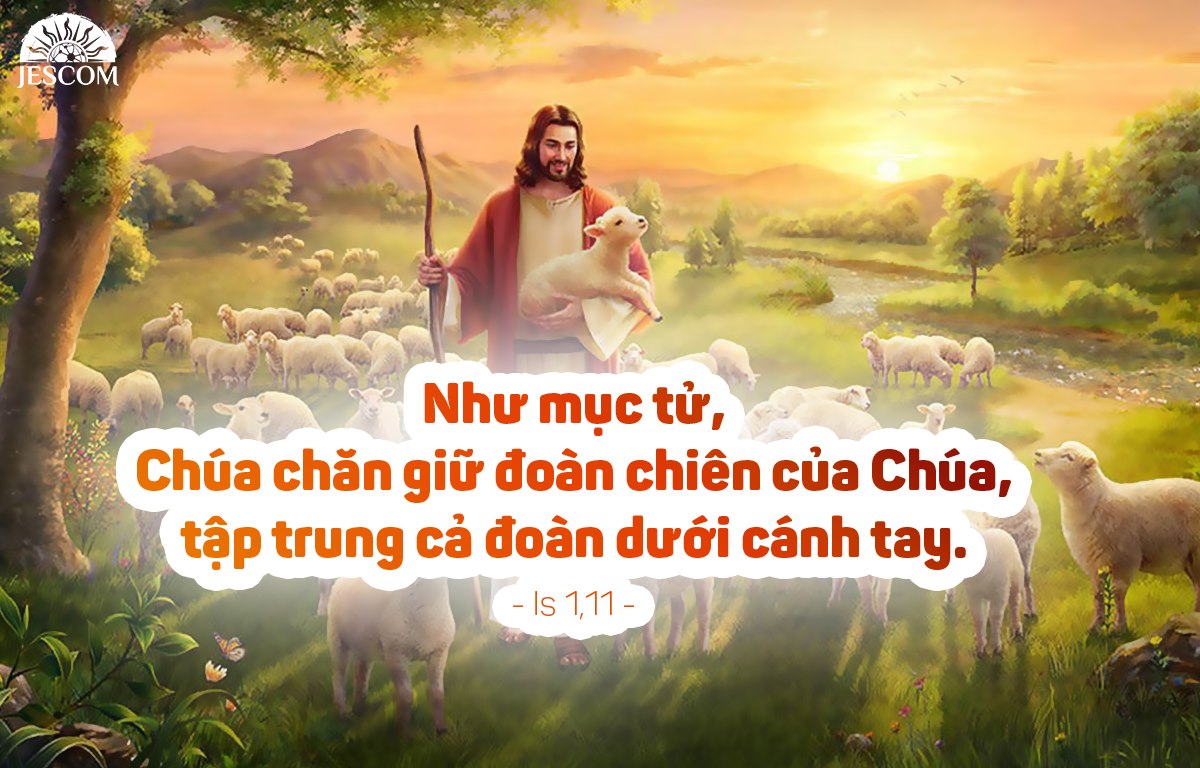 Thứ 3 Tuần II Mùa Vọng-A