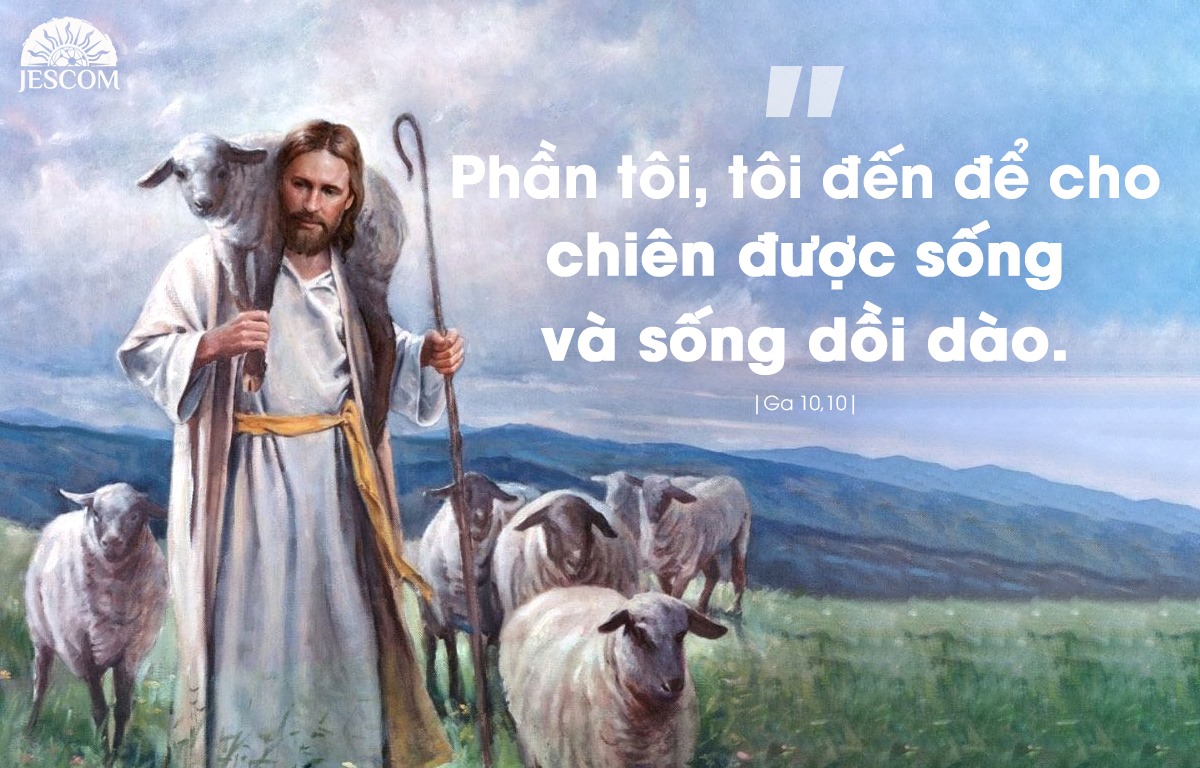 Chúa Nhật IV Phục Sinh-A