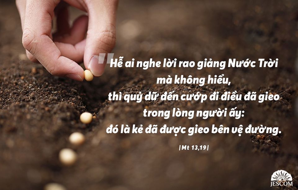 Thứ 6 Tuần XVI Thường Niên-A