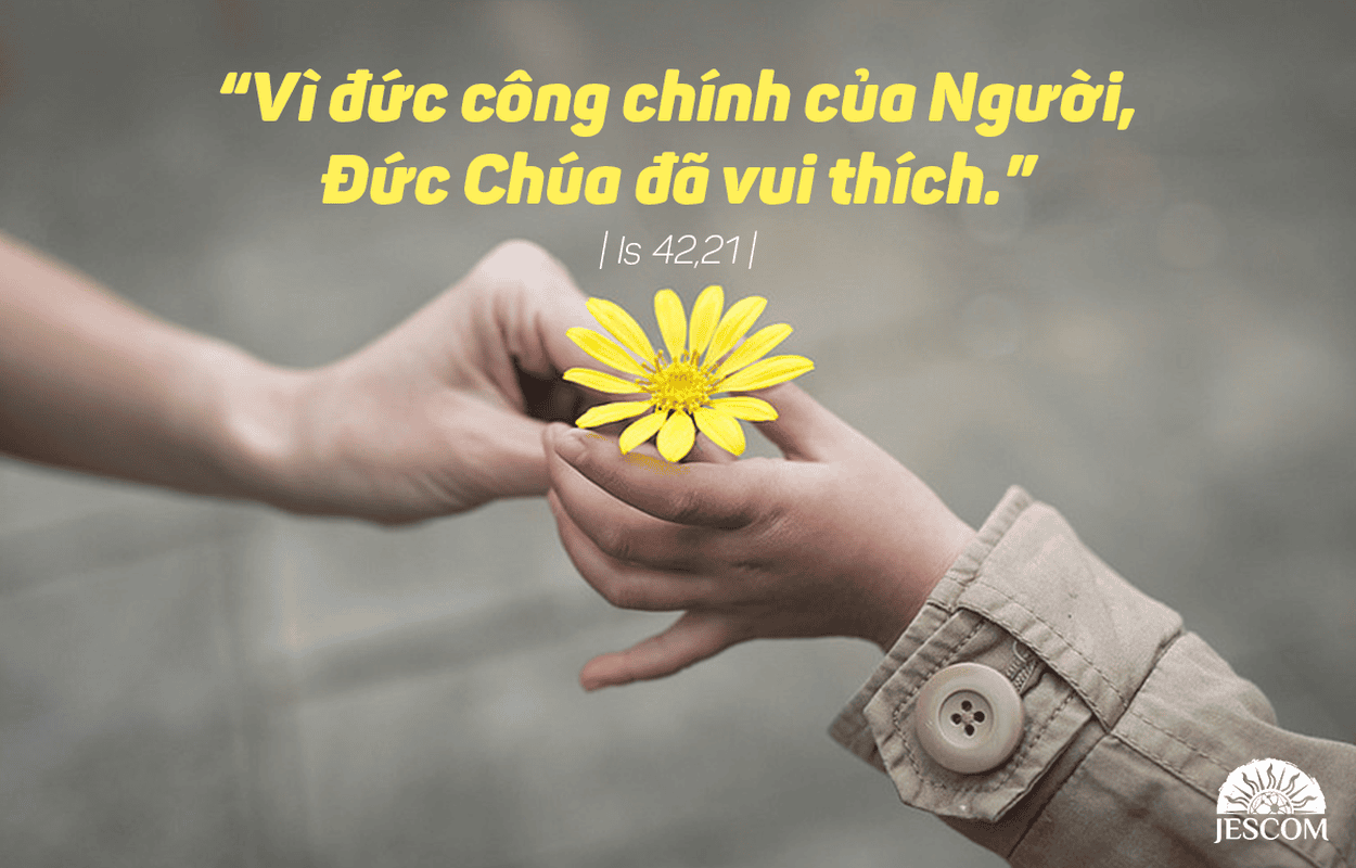 Ngày 17.12 Mùa Vọng-A