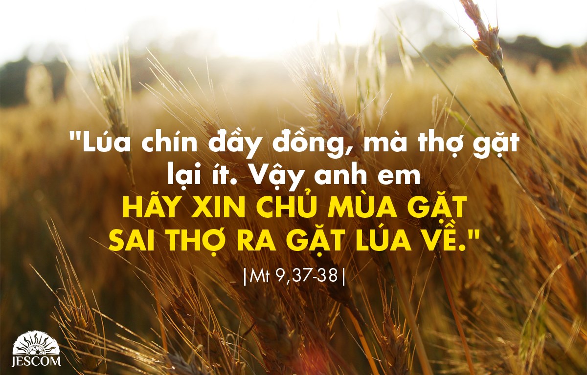 Thứ 7 Tuần I Mùa Vọng-A