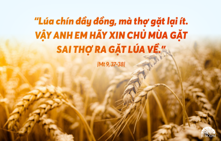 Thứ 7 Tuần I Mùa Vọng