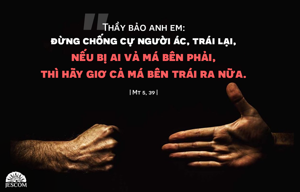 Thứ 2 Tuần XI Thường Niên-A