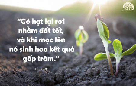 Thứ 7 - Tuần XXIV Thường Niên-A