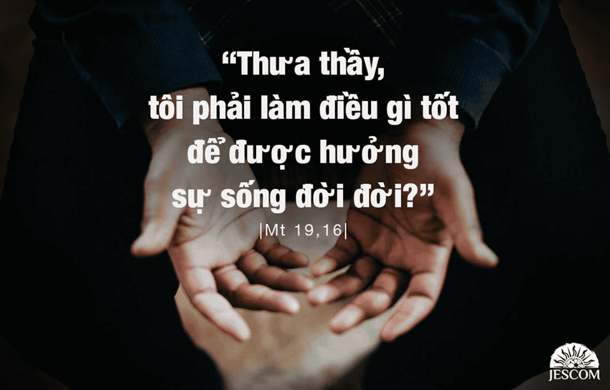 Thứ 2 Tuần XX Thường Niên-A