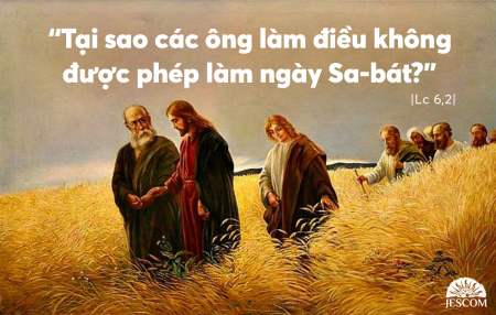 Thứ 7 Tuần XXII Thường Niên- A
