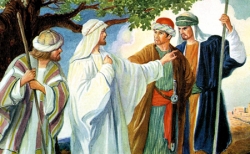 Đồng cộng tác
