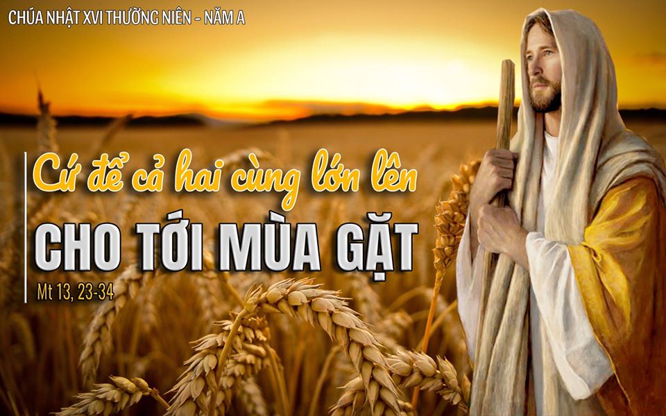 Chúa Nhật XVI Thường Niên-A