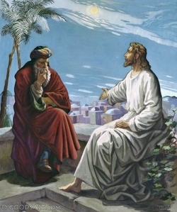 TÁI SINH