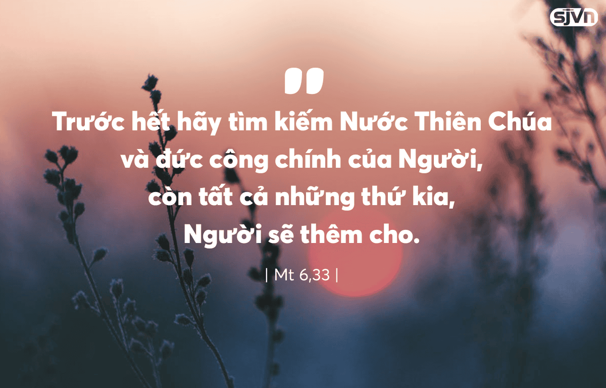 Thứ 7 Tuần XI Thường Niên-C