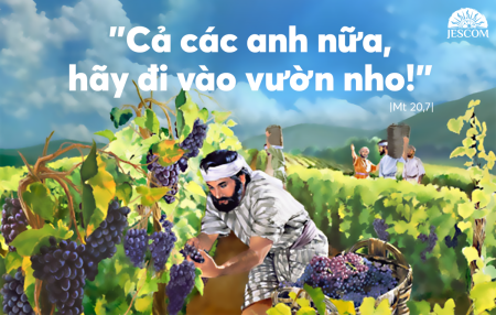 Chúa Nhật - Tuần XXV Thường Niên-A