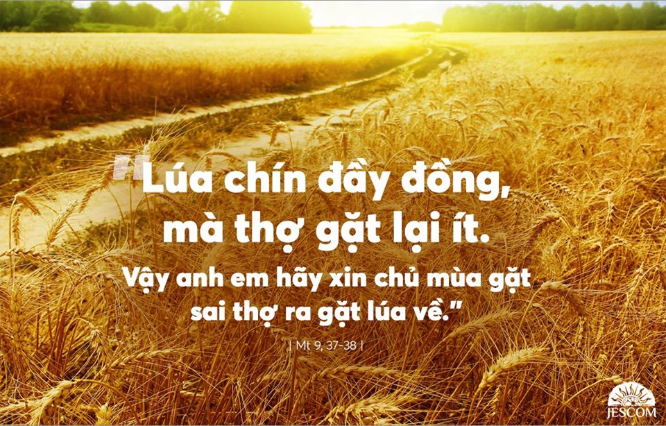 Thứ 3 Tuần XIV Thường Niên-A