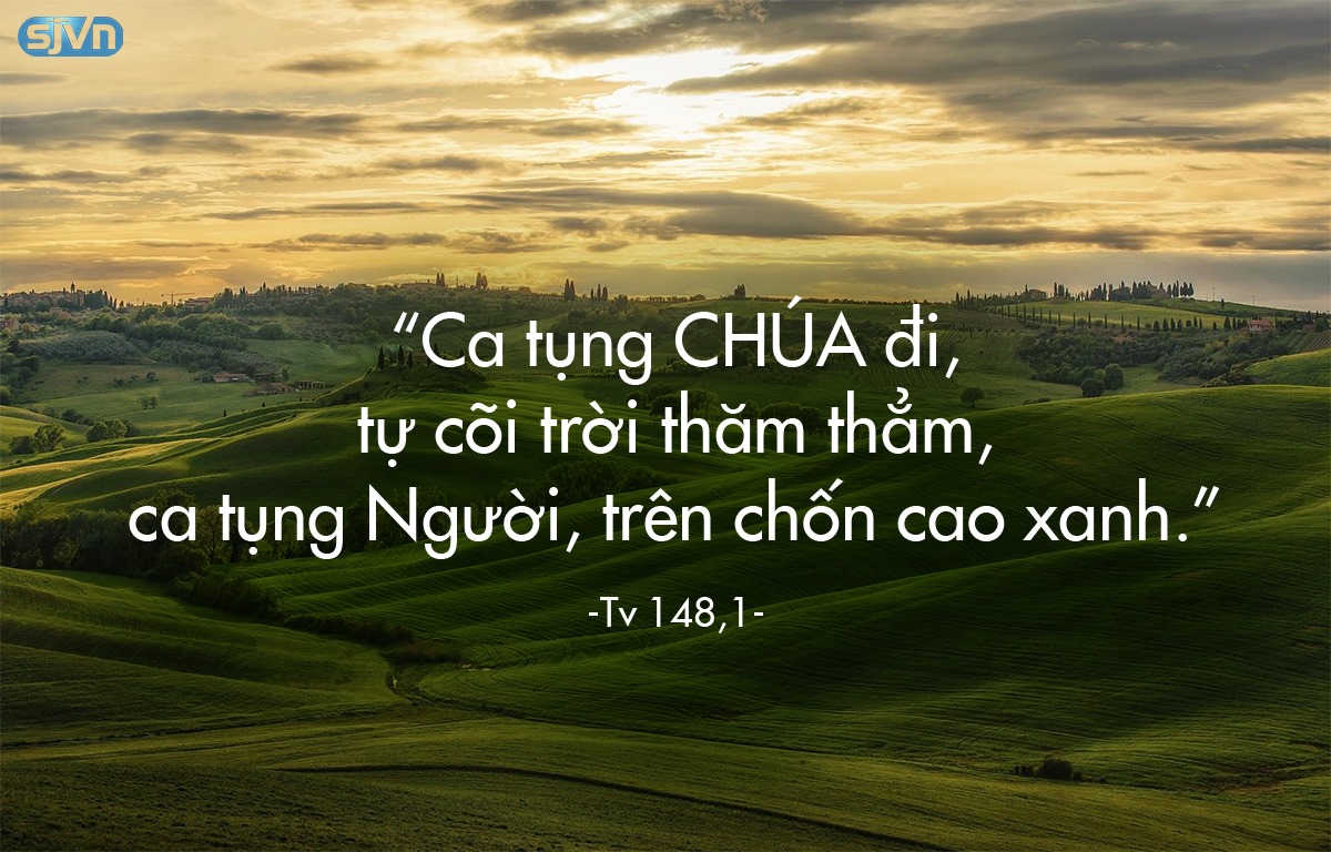 Thứ 2 Tuần XXXI Thường Niên-C