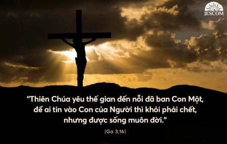 Thứ 2 Ngày 14/09- Tuần XXIV Thường Niên-A Suy tôn Thánh Gía