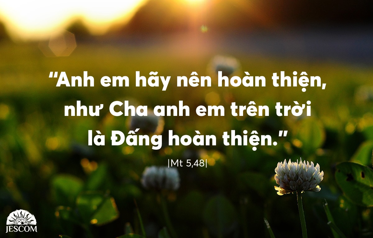 Chúa Nhật VII Thường Niên-A
