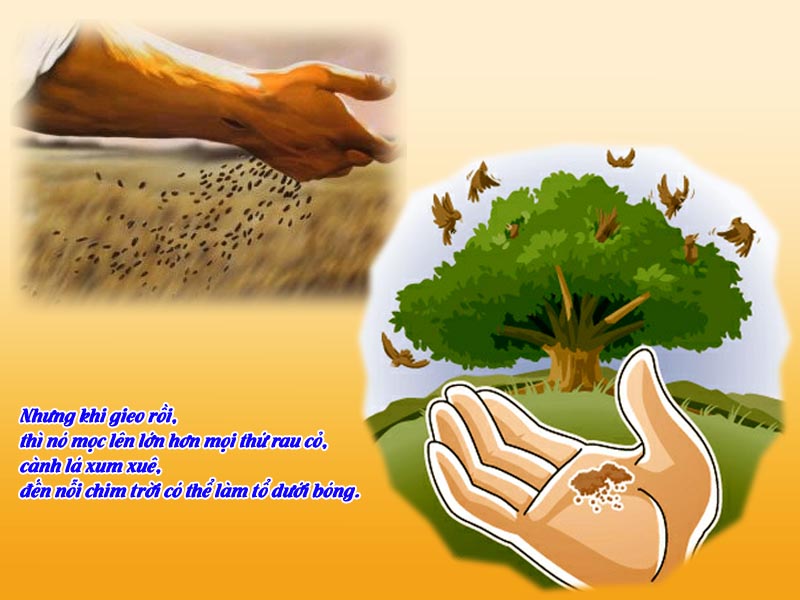 NƯỚC TRỜI