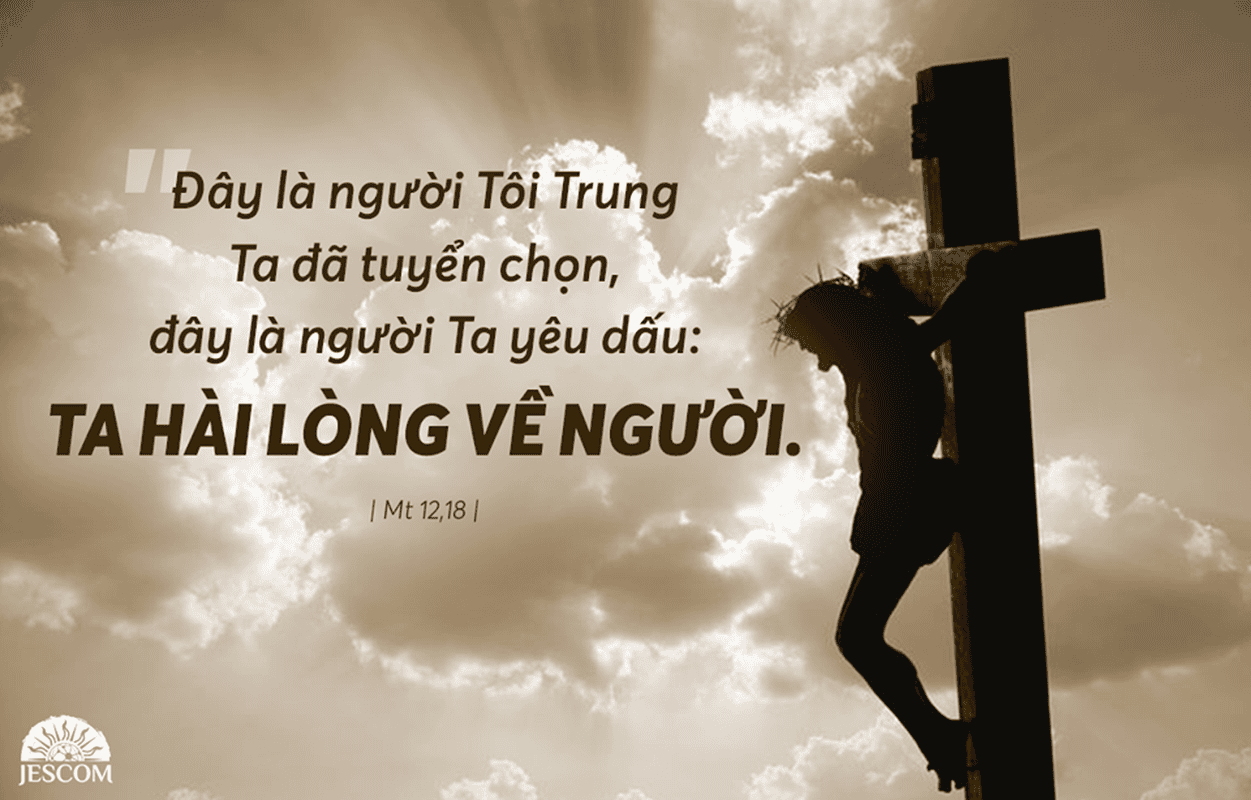 Thứ 7 Tuần XV Thường Niên-A