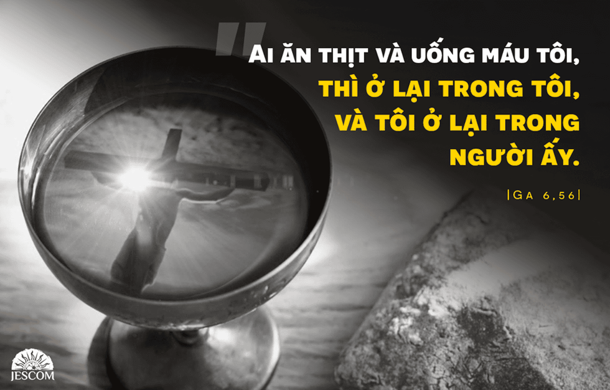 Chúa Nhật XI Thường Niên-A