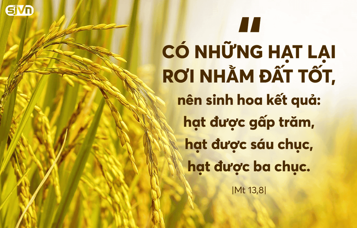 Thứ 4 Tuần XVI Thường Niên-C
